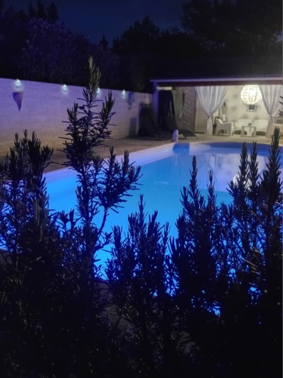 Location de vacances - Gîte à L'Isle-sur-la-Sorgue - Piscine by night