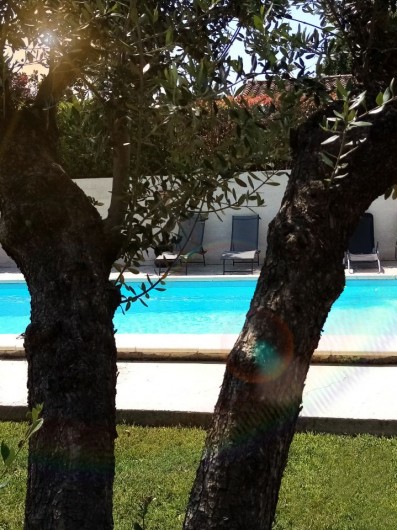 Location de vacances - Gîte à L'Isle-sur-la-Sorgue - Transats au bord de la piscine