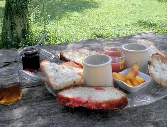 Location de vacances - Gîte à L'Isle-sur-la-Sorgue - Petit déjeuner sur l'herbe