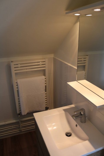 Location de vacances - Studio à Aix-les-Bains - salle de bains avec lavabo, douche, wc et sèche-serviettes