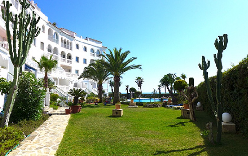 Location de vacances - Appartement à Nerja - Jardin exotique autour de la piscine