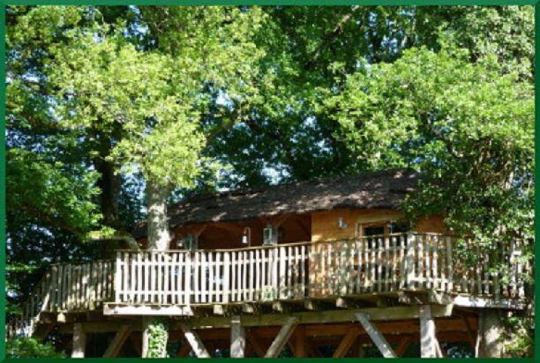 Location de vacances - Cabane dans les arbres à Chalais