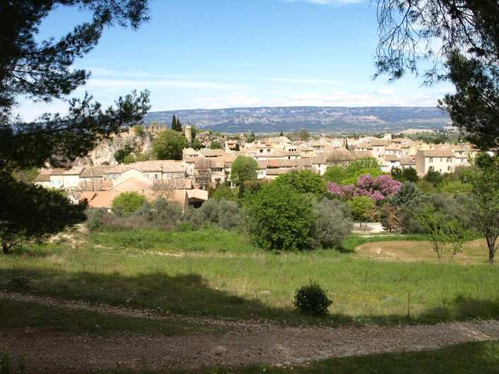 Location de vacances - Villa à Alleins - vue panoramique du village provençal d'Alleins