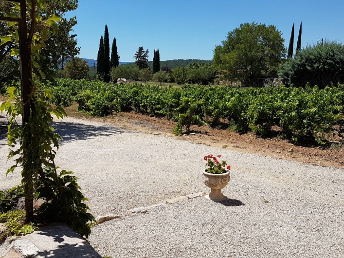 Location de vacances - Mas à Lorgues - Jardin vue côté vignes