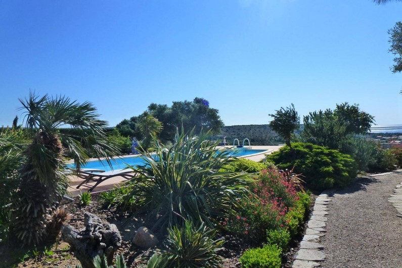 Location de vacances - Villa à La Palme - la piscine et le jardin