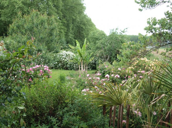 Location de vacances - Gîte à Meilhan-sur-Garonne - Vue sur le Jardin