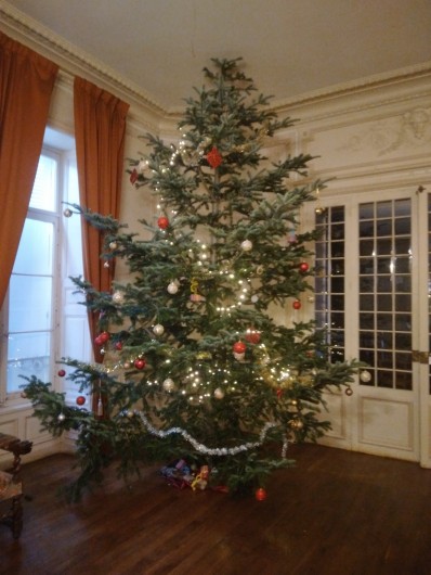 Location de vacances - Château - Manoir à Ourouer-les-Bourdelins