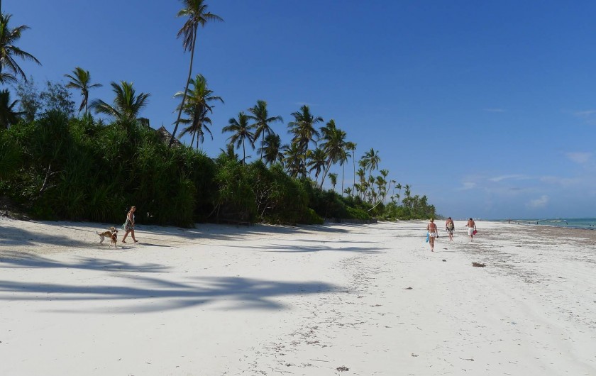 Location de vacances - Villa à Zanzibar - La plage publique devant la villa .... personne ...vrai coin de paradis !!!