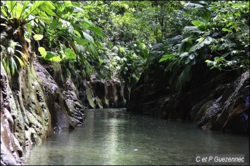Location de vacances - Bungalow - Mobilhome à Sainte Rose - CANYON MOUSTIQUE