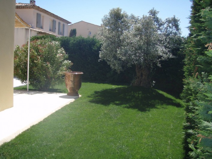 Location de vacances - Villa à Aix-en-Provence - Vue du jardin côté entrée (= Ouest) avec un olivier centenaire