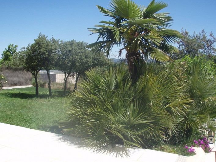 Location de vacances - Villa à Aix-en-Provence - Vue du jardin côté Est avec Palmiers et chênes