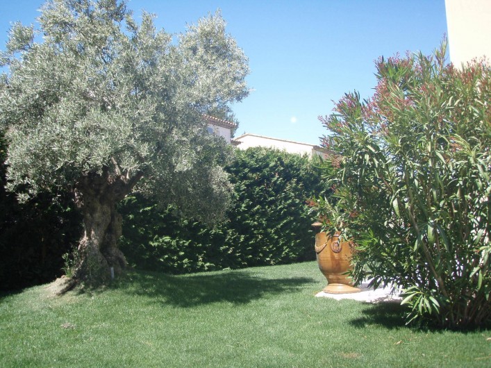 Location de vacances - Villa à Aix-en-Provence - Joli jardin paysager côté Ouest avec un magnifique olivier et un laurier rose