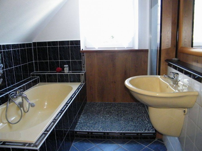 Location de vacances - Gîte à Kertzfeld - salle de bain douche baignoire et wc