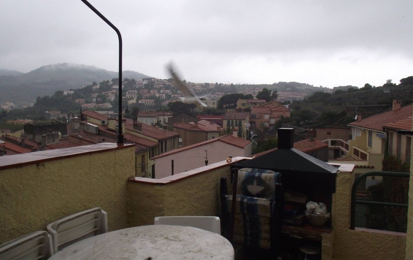 Location de vacances - Maison - Villa à Collioure - Vue terrasse 1