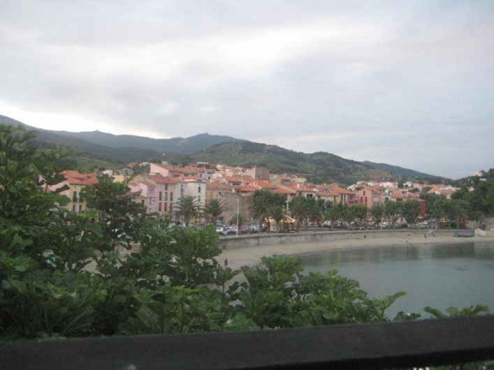 Location de vacances - Appartement à Collioure - Collioure
