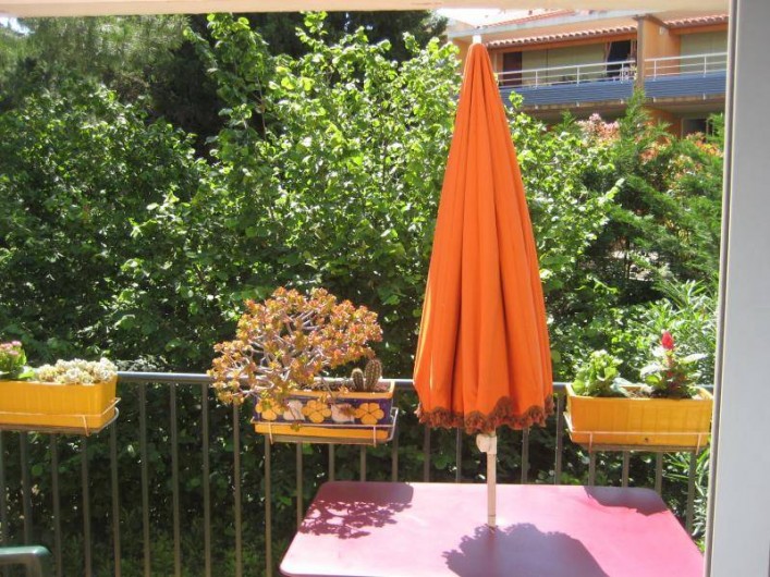 Location de vacances - Appartement à Collioure - Terrasse