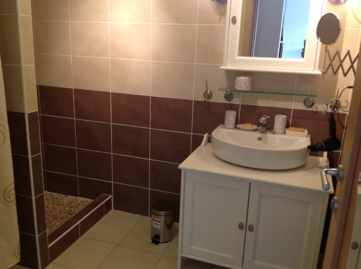 Location de vacances - Appartement à Porto-Vecchio - Salle de bain ( lavabo, douche )
