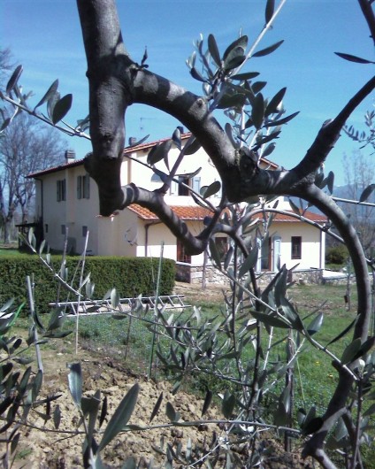 Location de vacances - Appartement à Incisa in Val d'Arno - Cerchiaia vue  du jardin