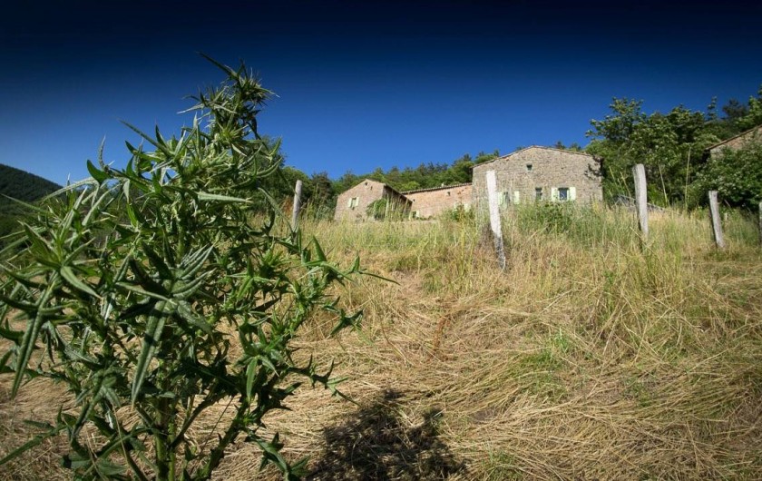 Location de vacances - Chambre d'hôtes à Saint-Barthélémy-Grozon - La maison vue du champ Domaine de Plantât