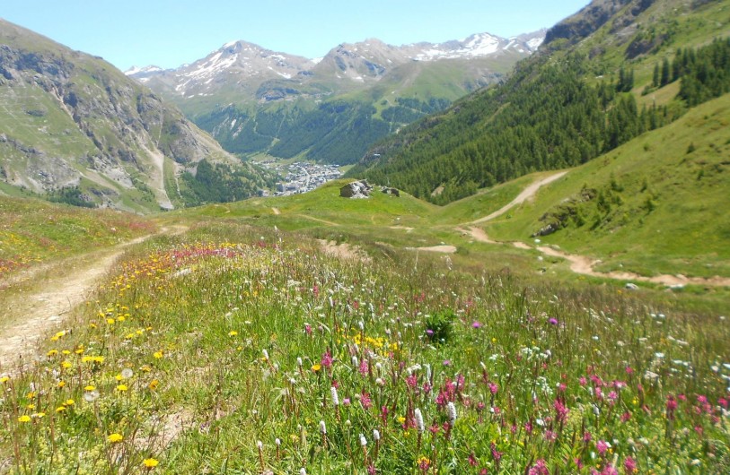 Location de vacances - Studio à Val-d'Isère - vue d'été sur Val d’Isère