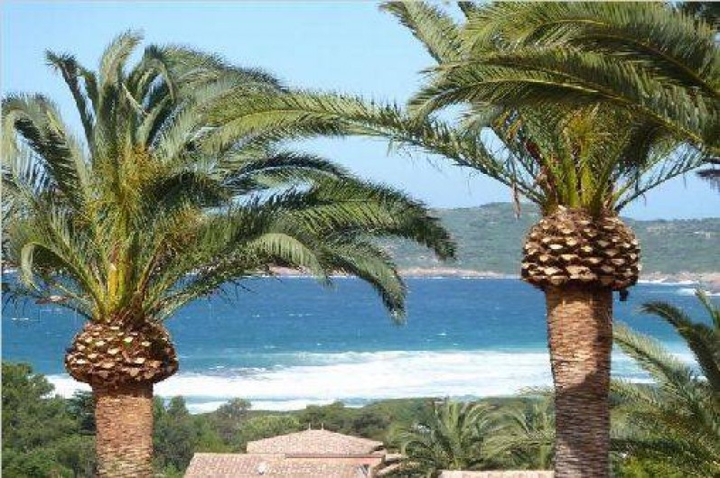 Location de vacances - Villa à Cargèse - la plage