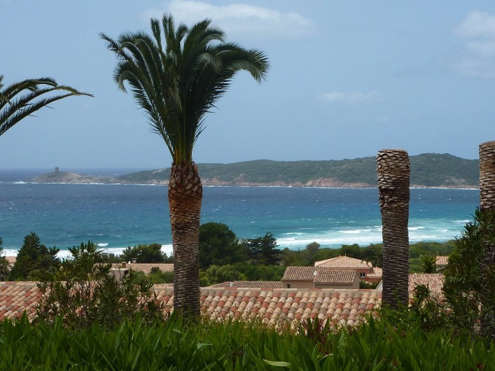 Location de vacances - Villa à Cargèse - la plage du péro  à 500m