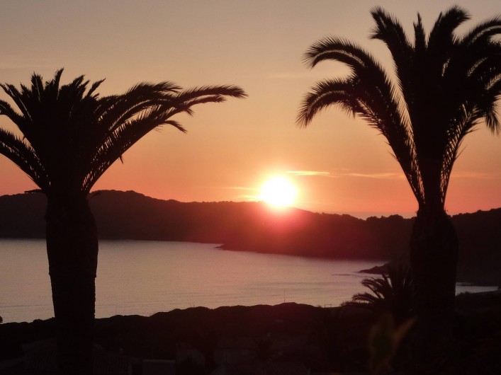 Location de vacances - Villa à Cargèse - coucher de soleil entre les palmiers