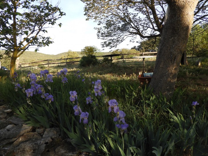 Location de vacances - Gîte à Brue-Auriac