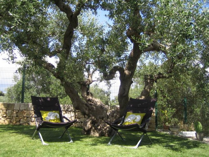 Location de vacances - Maison - Villa à Alberobello - Jardin