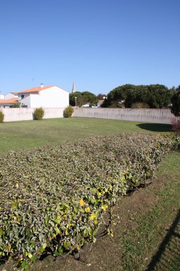 Location de vacances - Maison - Villa à Sainte-Marie-de-Ré - Jardin clos de murs