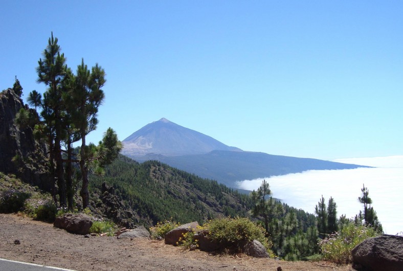 Location de vacances - Appartement à Los Cristianos - Le Teide volcan dominant l'île