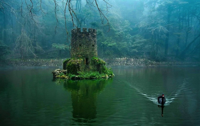 Location de vacances - Maison - Villa à Casal da Granja - Sintra Serra