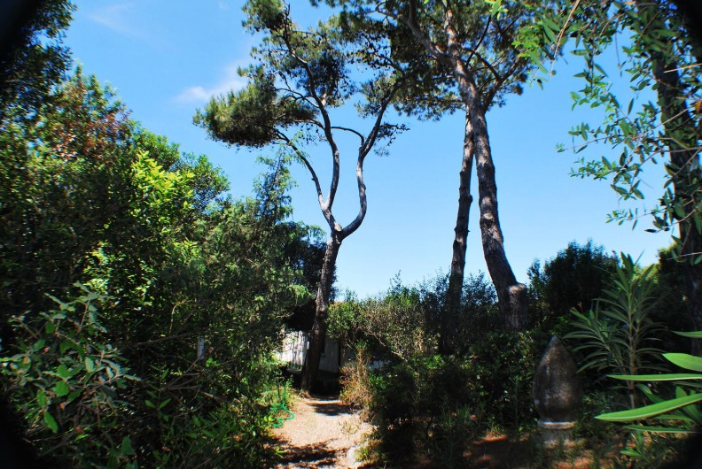 Location de vacances - Villa à Albinia - Jardin