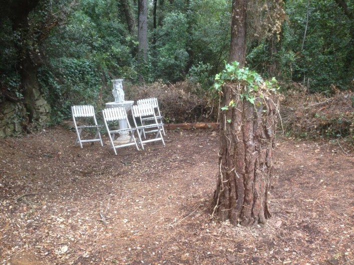 Location de vacances - Gîte à Bagnols-sur-Cèze - espace ombragé détente,  entouré de chênes  et oiseaux, calme assuré