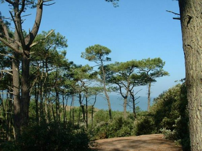 Location de vacances - Bungalow - Mobilhome à Saint-Brevin-les-Pins - Forêt de la Pierre Attelée. Chemin conduisant du mobil-home à la plage
