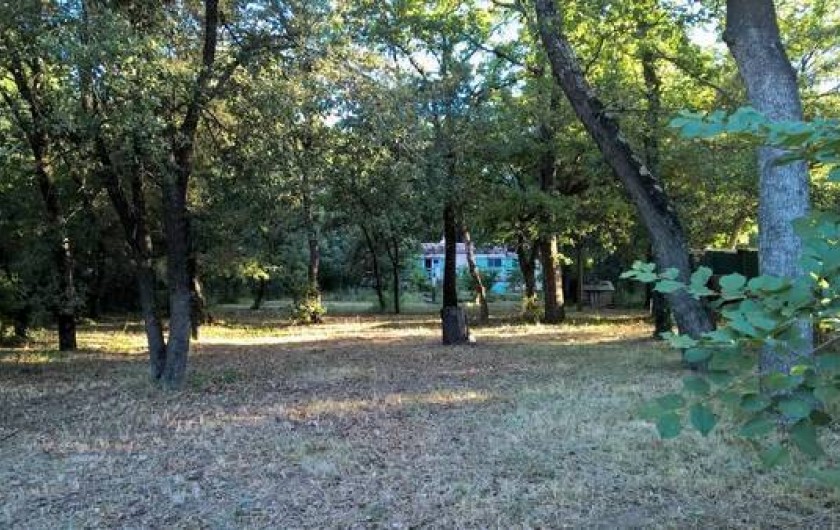 Location de vacances - Maison - Villa à Vers-Pont-du-Gard - le sous bois chênes  verts et blancs