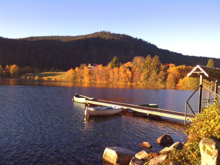 Location de vacances - Appartement à Gérardmer - lac de Gerardmer en automne