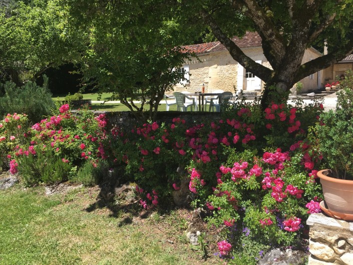 Location de vacances - Villa à Saint-Martin-des-Combes - Les rosiers en fleur
