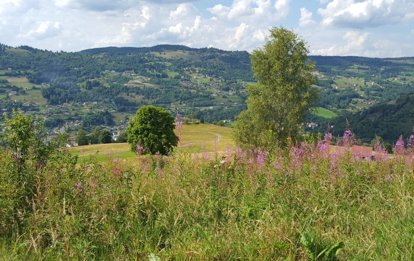 Location de vacances - Villa à La Bresse - Hauteurs de la Bresse