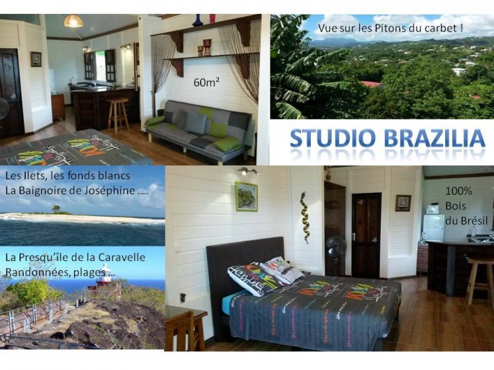 Location de vacances - Studio à Le Robert - Studio tout en bois du Brésil, 100% bois rouge. Cadre de qualité