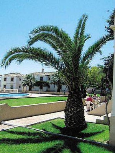 Location de vacances - Appartement à Torrevieja - Jardins