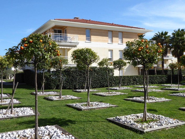 Location de vacances - Appartement à Antibes - L'appartement donne sur ce jardin d'orangers
