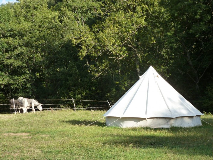 Location de vacances - Camping à Meyrueis - une tente ,avec les ânes au fond ,curieux ,qui viennent voir