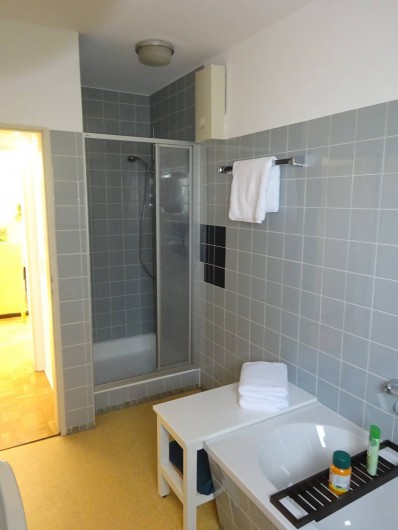 Location de vacances - Appartement à Linz - Salle de bain douche