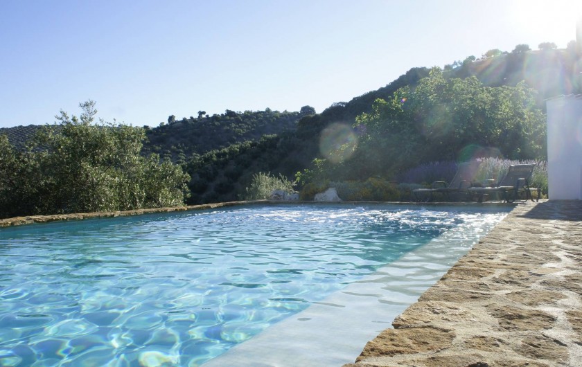 Location de vacances - Gîte à Fuentes de Cesna - La piscine, Cortijo las Rosas