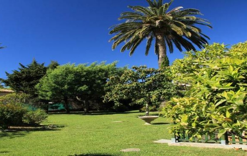 Location de vacances - Studio à Juan les Pins - Une vue du jardin