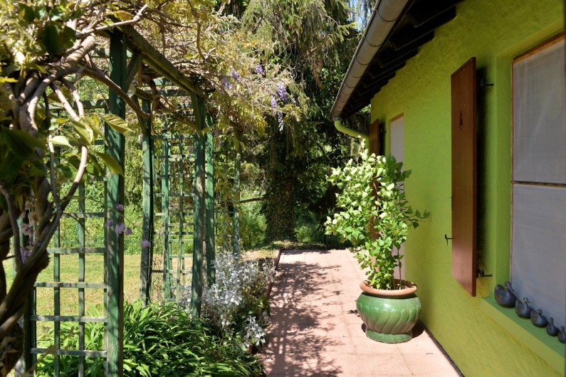 Location de vacances - Gîte à Bergheim