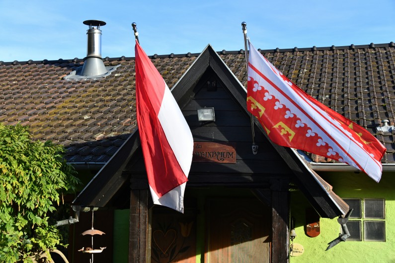 Location de vacances - Gîte à Bergheim