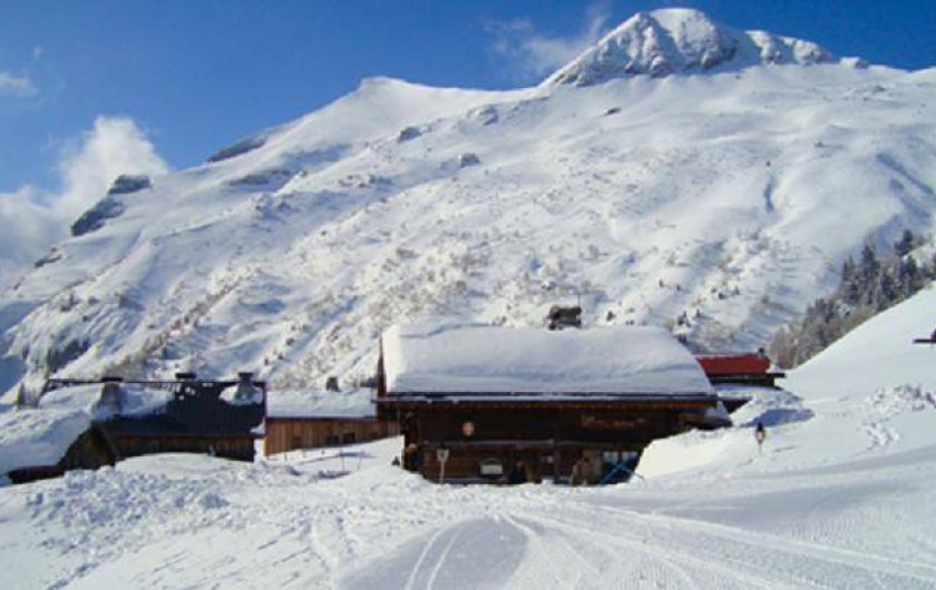 Location de vacances - Gîte à Saint-Nicolas de Véroce