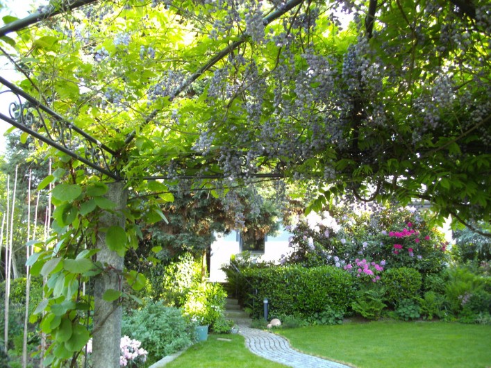 Location de vacances - Maison - Villa à Alsbach-Hähnlein - Jardin de fleurs